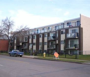 Pioneer Apartments - Photo 6