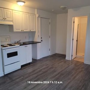 1 CH - 1 SDB - Montréal - $995 /mo - Photo 2