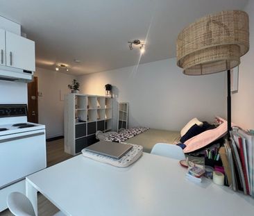 1200 du Père-Marquette Trois-Rivières - Photo 2