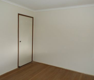 Newly Renovated 4-Bedroom Family Home in Hampton Park - Photo 3