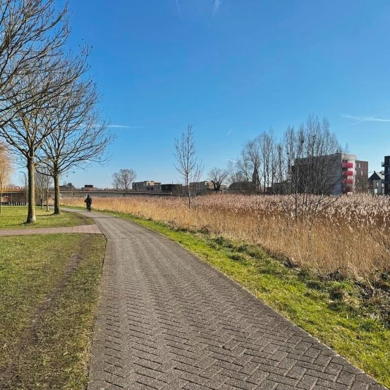 Recent 2 slaapkamer appartement met zonnig terras gelegen langsheen de Schelde - Photo 1