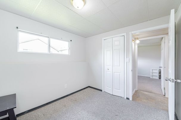 For Lease - 36 Poplar Crescent Unit# Bsmt, Welland, Ontario - Photo 1