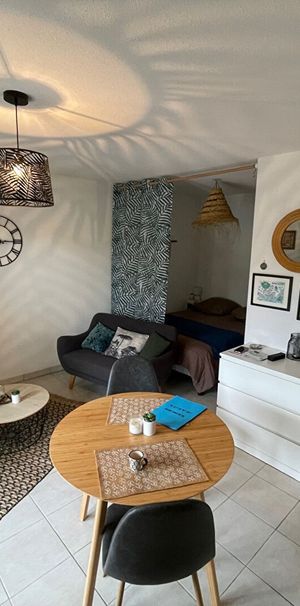 Location Appartement 1 pièce 31m² - Photo 1