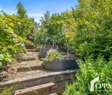 405 Liverpool Street, West Hobart TAS 7000 - Terrace For Rent | Domain - Photo 2