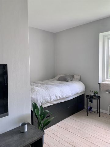 Lotta Svärdsgatan - Foto 4
