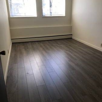 Huge 4 bedroom, 2 bathroom, 1st floor apt - Photo 4