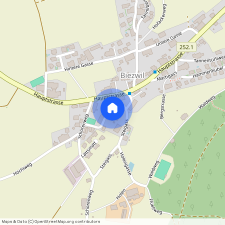 4585, Biezwil, Schmittengässli, 16