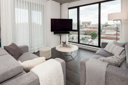 Condo à louer, Montréal (Ville-Marie) - Photo 2