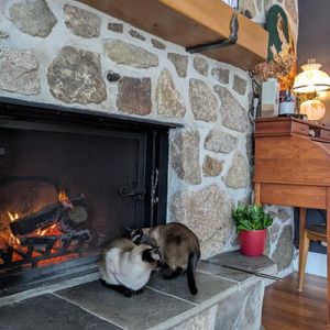 Maison à louer – 2+1 chambres, 1,5 salle de bain – Piedmont - Photo 2