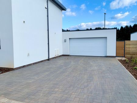 3 bedroom Spacious Three Bedroom Detached House to rent - Photo 4