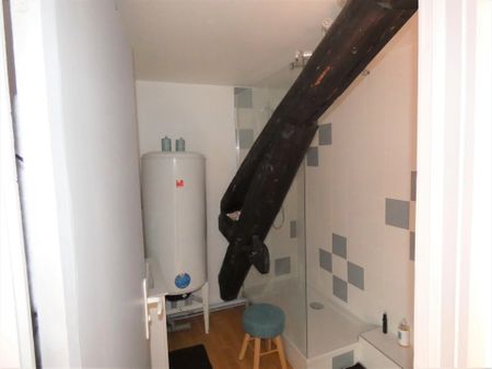 Location Appartement 1 pièce 24m² NANCY 54000 - Photo 4