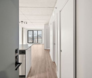 1255 Rue Saint-Dominique apartment — Montréal, QC (1-Bedroom) - 1 Bedroom - Photo 2