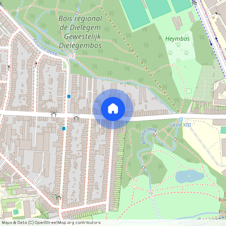 118, Rue Bonaventure, Heymbosch, Jette, Bruxelles-Capitale, 1090, Belgique