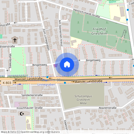 Mainzer Landstraße 590, 65933, Frankfurt Am Main