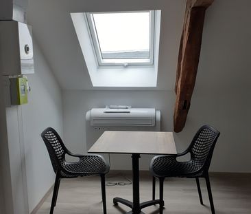Location Appartement 1 pièce 16m² OUZOUER SUR LOIRE 45570 - Photo 2