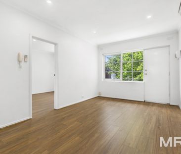 Sunny and spacious - Photo 1