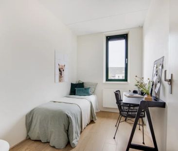 Remiseplantsoen 11 - Foto 2