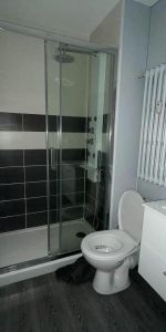 Location Appartement 1 pièce 29m² CAMBRAI 59400 - Photo 3