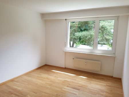 2.5 Zimmer, 53 m², 1. Stock - Foto 3