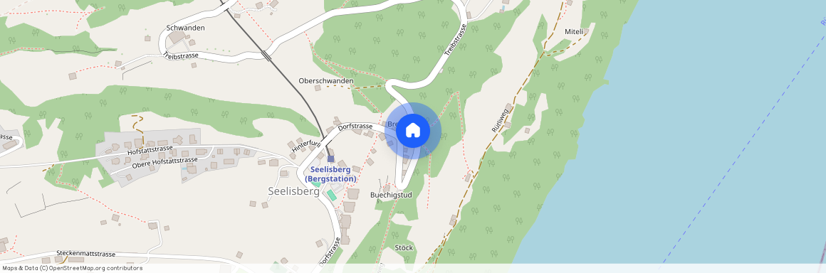 6377, Seelisberg, Treibstrasse, 1