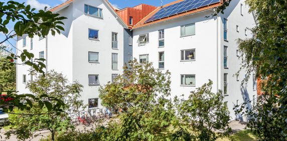 Bolmensgatan, Halmstad - Foto 2