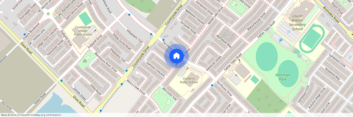 544 Fernforest Drive Unit# Main, Brampton