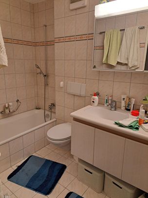 41/2-ROOM APARTMENT IN HORGEN (ZH), FURNISHED, TEMPORARY - Photo 1