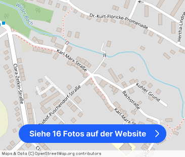 renovierte 1-Raum-Wohnung im Erdgeschoß zu vermieten! - Foto 1
