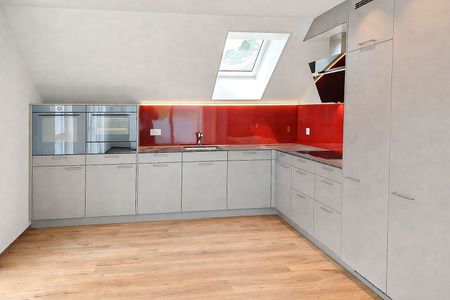 Generous penthouse apartment with its own attic and beautiful views - Photo 5