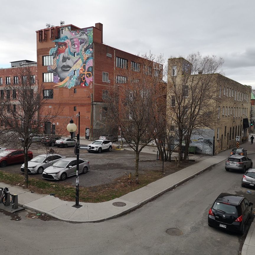 Condo for rent, Montréal (Le Plateau-Mont-Royal) - Photo 1