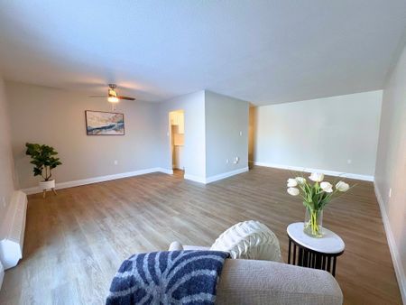 Regency Court Apartments - Speedvale -ALL INCLUSIVE - Photo 2