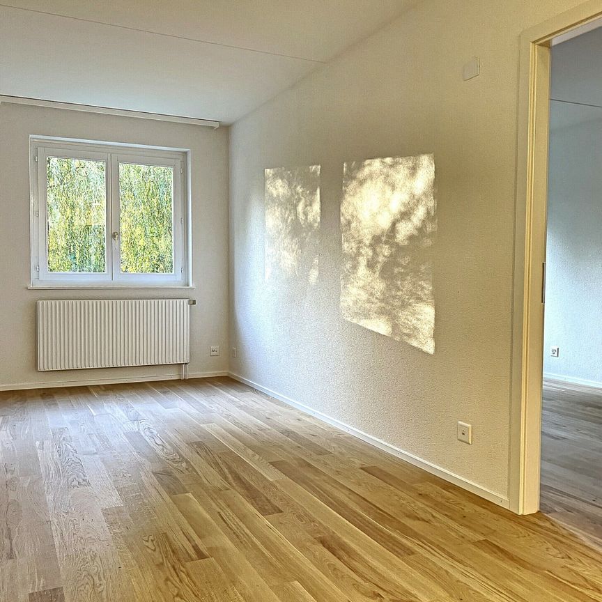 2 ½ PIECES - Au calme et proche des commodités ! - Photo 1