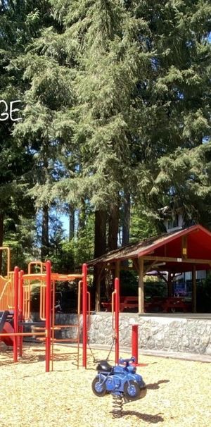 Blueridge Apartments - Photo 1