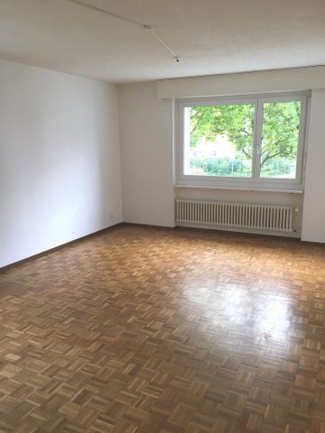1 Zimmer-Wohnung in Bassersdorf mieten - Photo 3