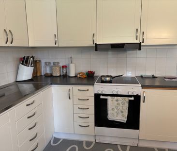 Familjegränd, Skellefteå - Foto 3