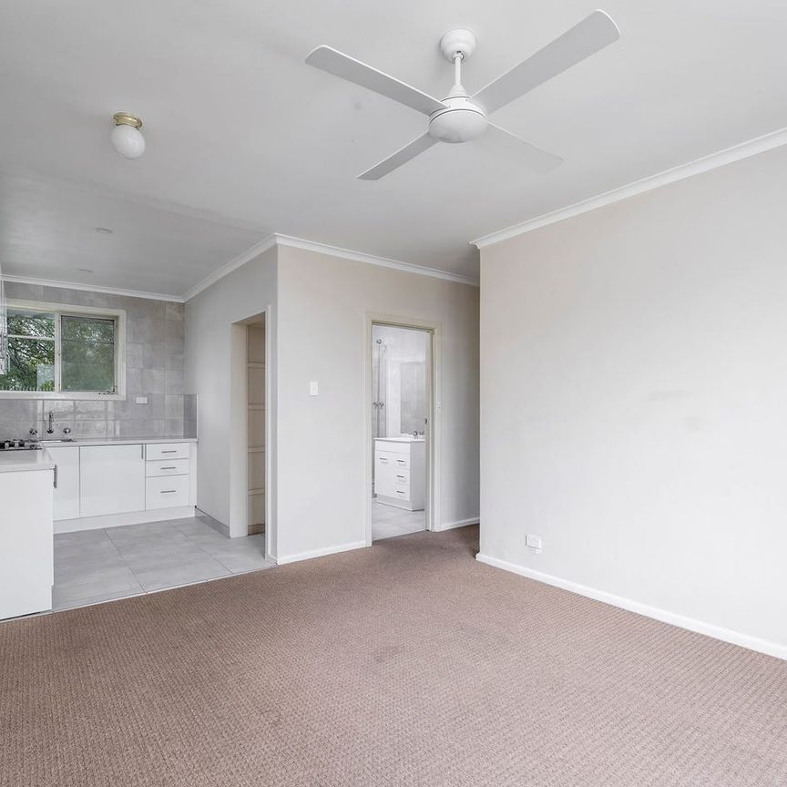 EASY LIVING AT EUMERALLA - Photo 1