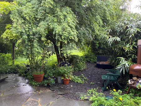 Mooie zeer zonnige kamer te huur met uitzicht op de tuin - Photo 3