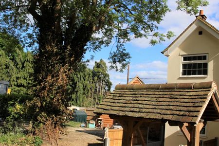 Studio to rent - Photo 4