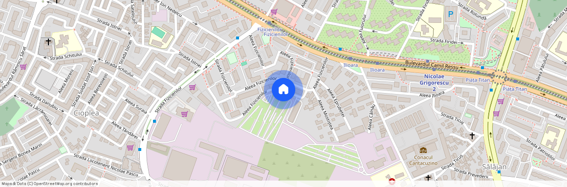 Nicolae Grigorescu, Bucuresti