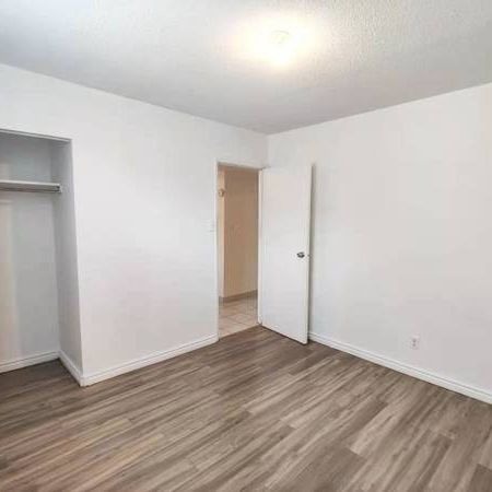 2-Bedroom Apt Available January 1st (Gerrard & Broadview) - Photo 1