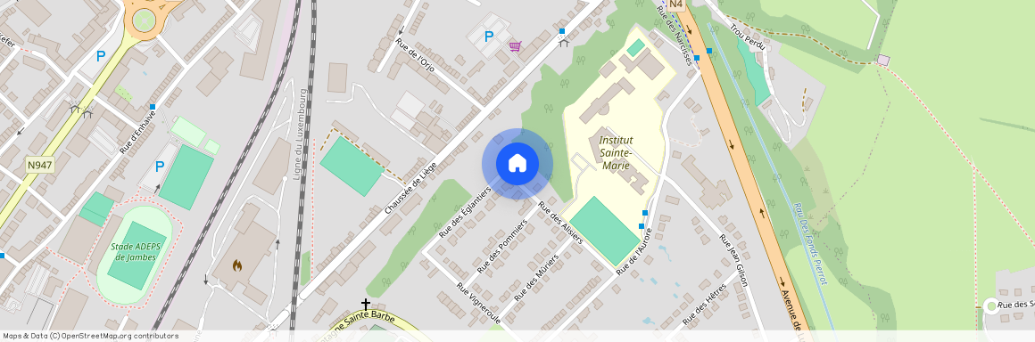 Rue des Alisiers, 28, 5100, Namur