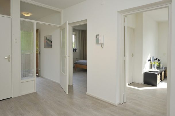 Kluizeweg 266 - Photo 1