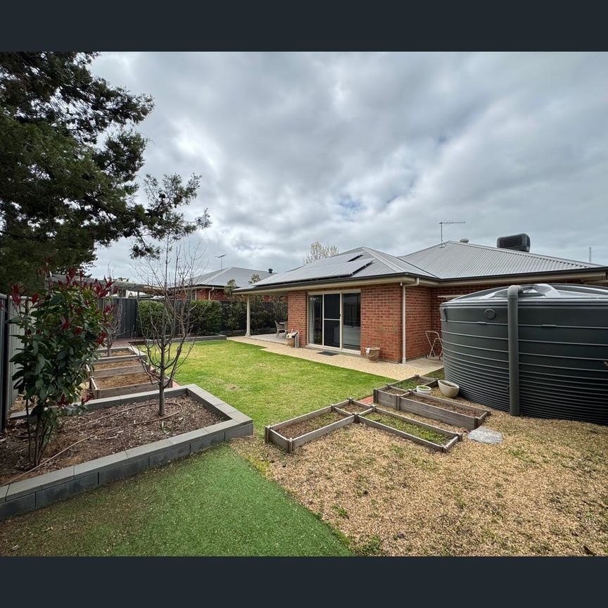 11 Alf Pellegrini Drive, Tanunda, SA 5352 - Photo 1