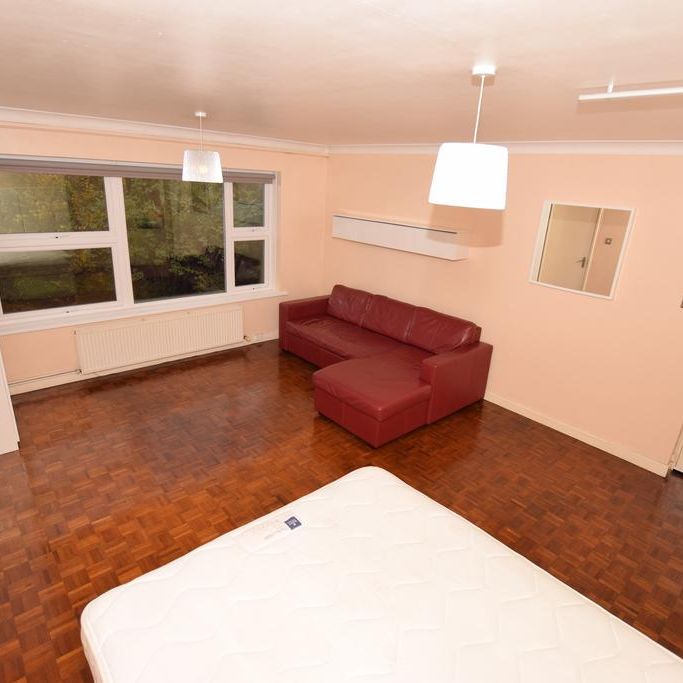 Studio to rent - Photo 1