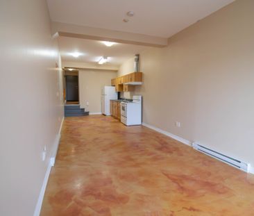 **SPACIOUS** Bachelor Apartment in Downtown St. Catharines!! - Photo 2