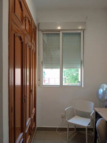 Calle de la Colegiata, Madrid, Community of Madrid 28012 - Photo 4