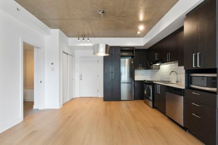 Appartement à louer - Montréal (Ville-Marie) (Centre) - Photo 3
