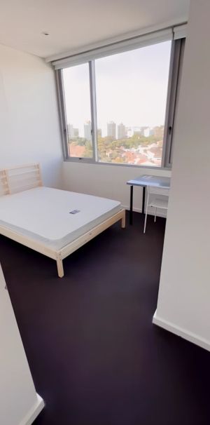 6B Defries Avenue, Sydney - Photo 2