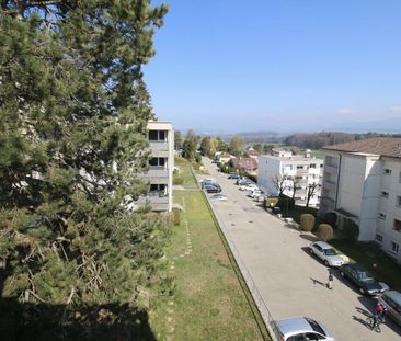 Geräumige Wohnung in schöner grüner Umgebung, ohne Sichtkontakt - Photo 4