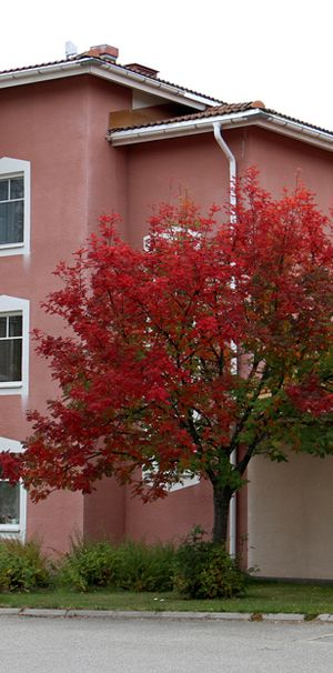 Härjedalsgatan 11 D, 842 32, Sveg - Foto 1